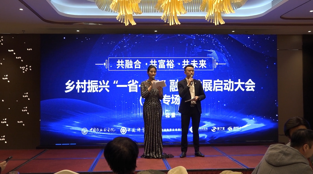 双城论坛完整版,双城论坛今日报道