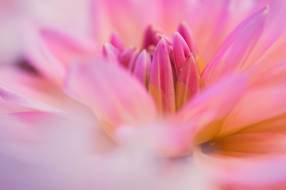 朋友不借钱给你你还借钱给他吗,当你遇到困难朋友借钱的时候