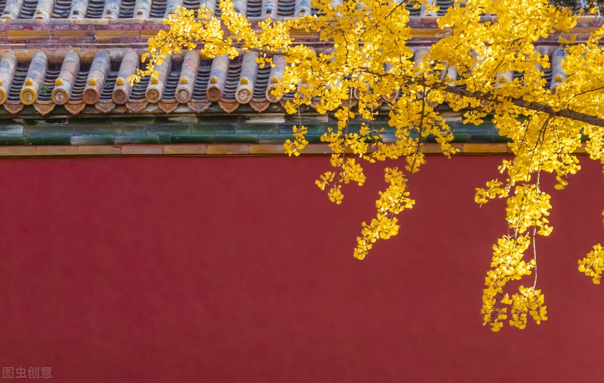 诗词里的四季风,古诗词中的风与四季的关系