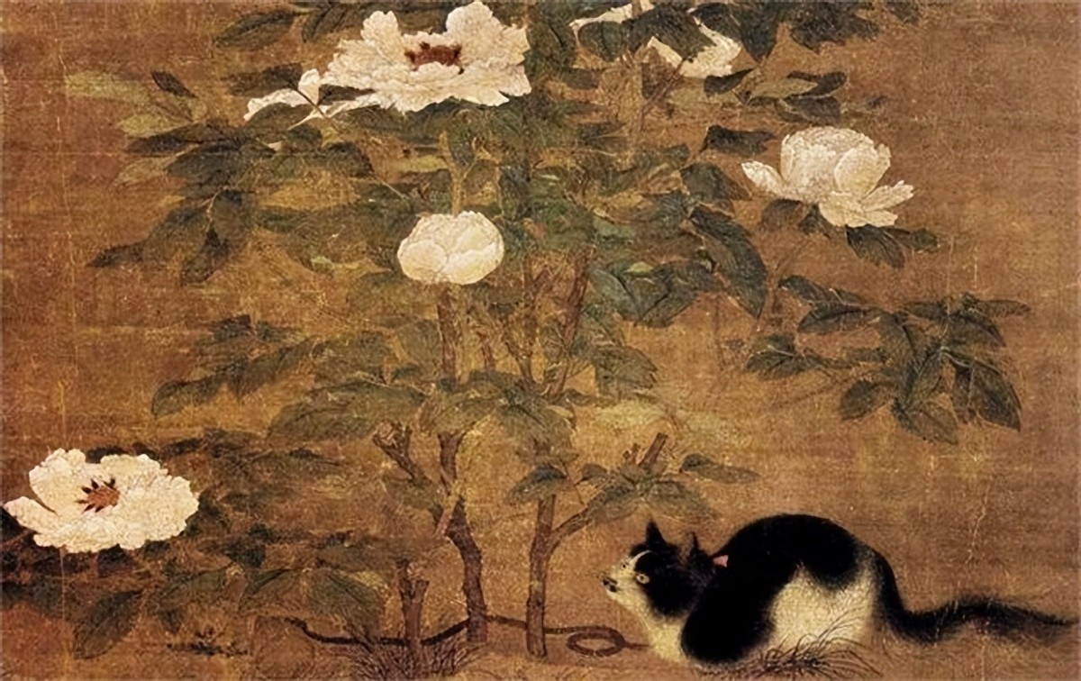 李时珍为什么说猫不能吃,中国人为什么不吃猫