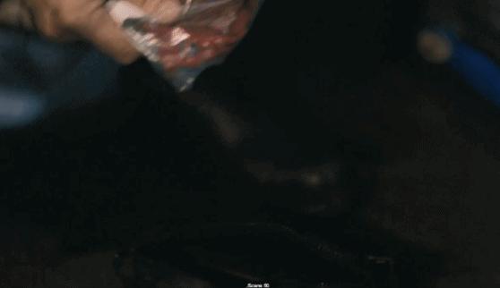 牵动全国人的心重大事件,牵动全国人民的案件