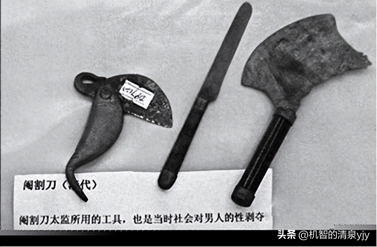 30张活久见的照片世界太奇妙了,25张有趣的照片展示神奇的世界