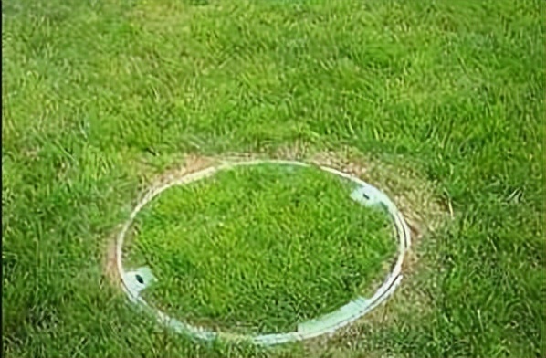 脚下那些隐藏的小惊喜，井盖也可以很美