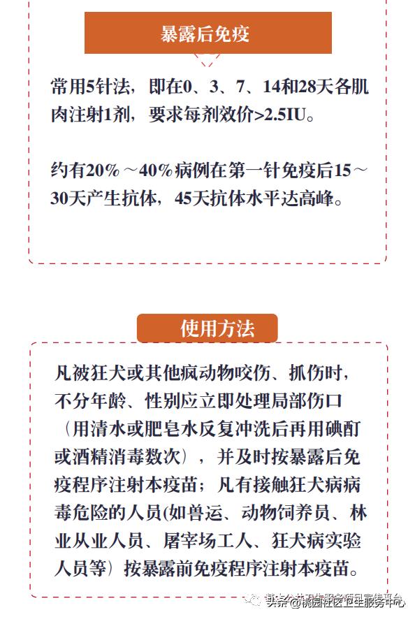 疫苗科普类宣传视频,接种狂犬疫苗科普视频