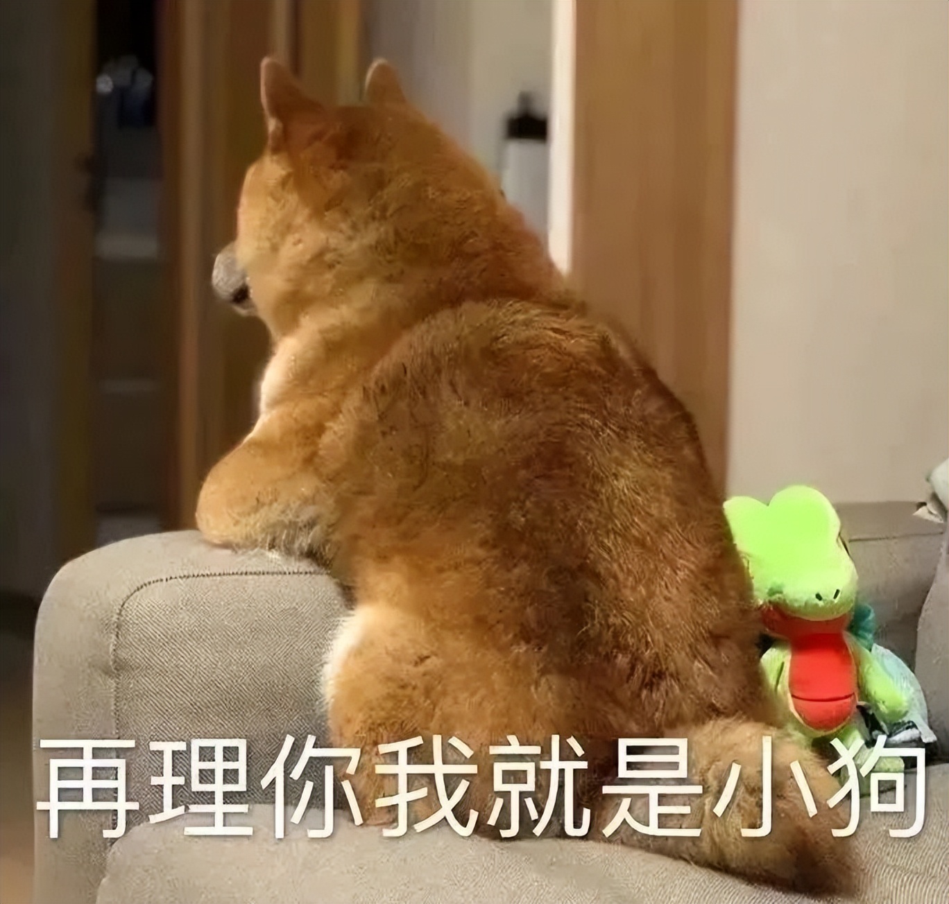 满朝公卿夜哭到天明完整版,满朝公卿大哭视频