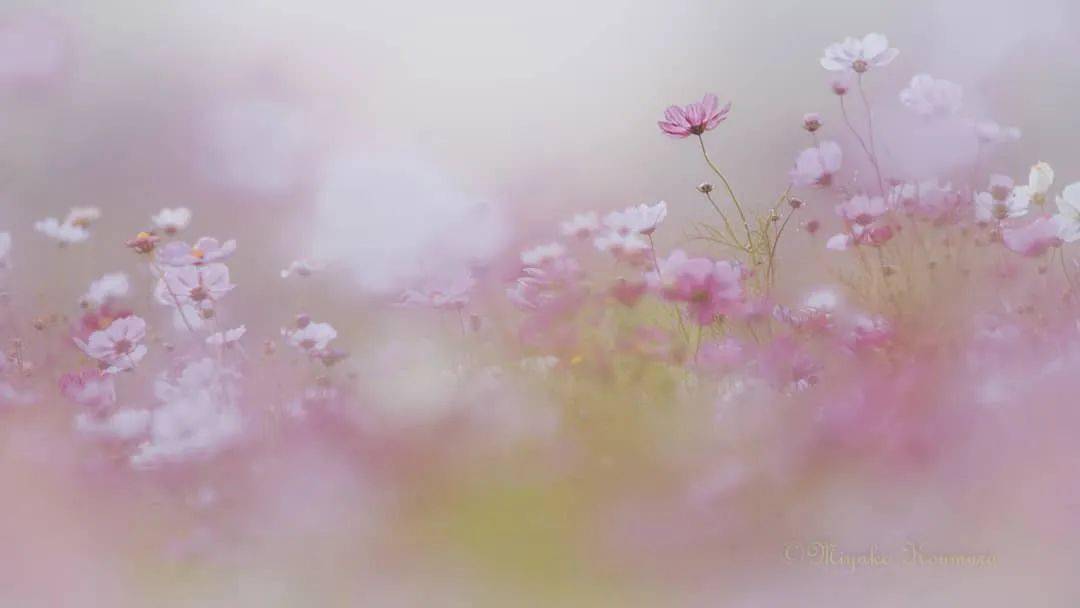 早安的暖心句子高情商,早安的暖心句子文案