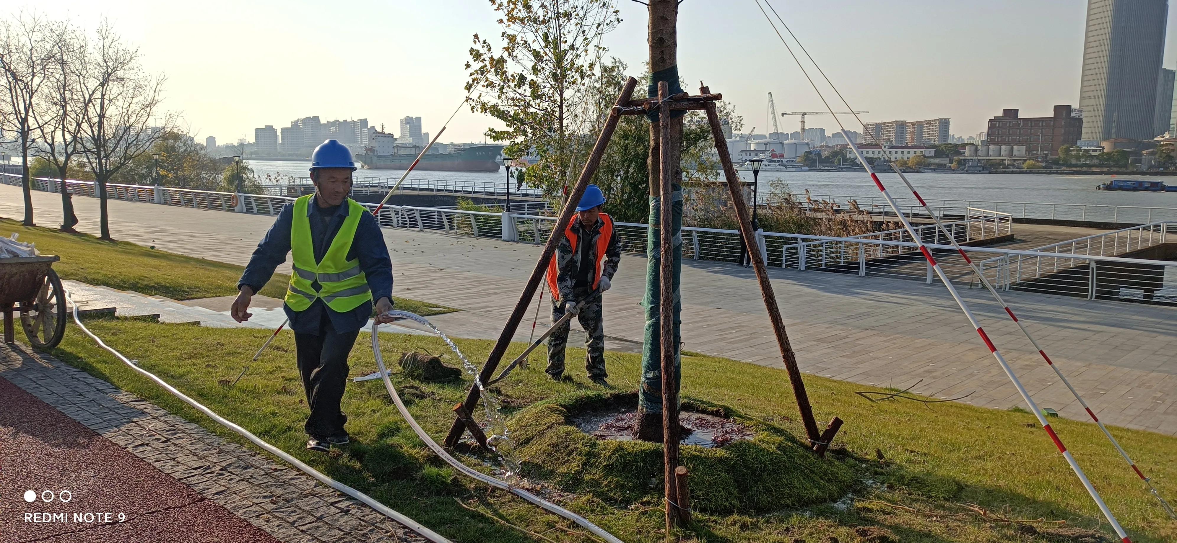 浦东前滩效果图,上海浦东前滩将开的新楼盘