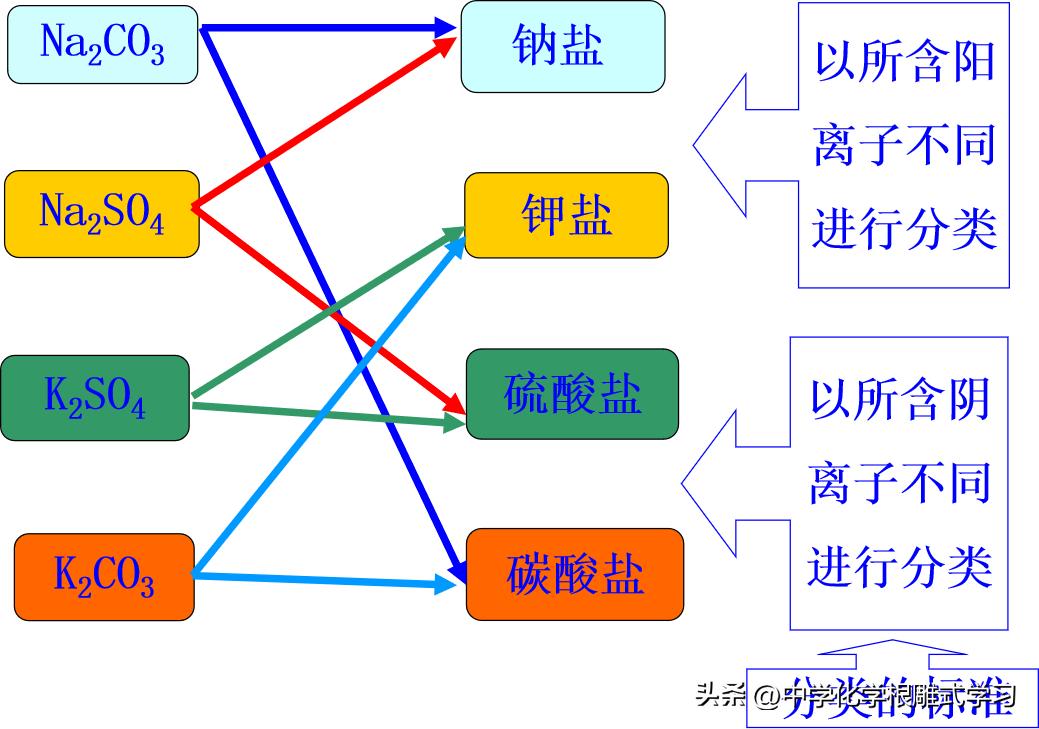 人体摄入物质分类,物质的分类导学案