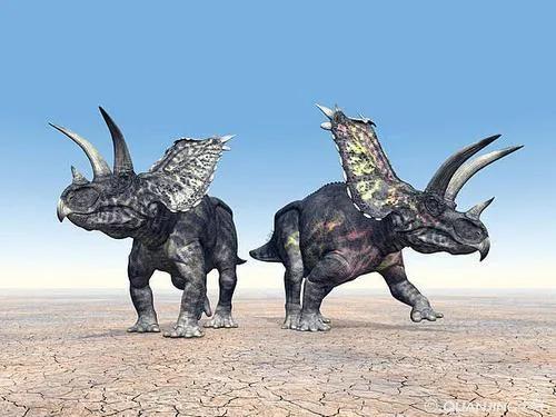 恐龙大世界全部恐龙,恐龙小科普之恐龙的冷知识