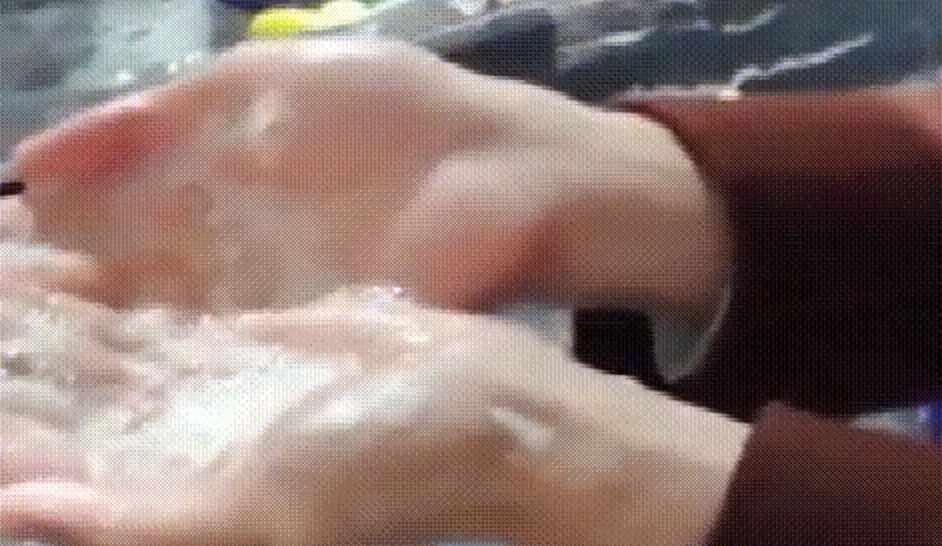 拆油烟机清洗油烟机油污妙招,油烟机油污怎样去污