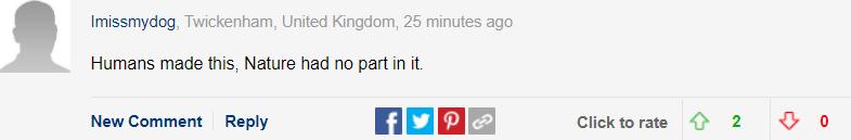 巴哥犬的优点有哪些方面,巴哥犬的优点和缺点及智商