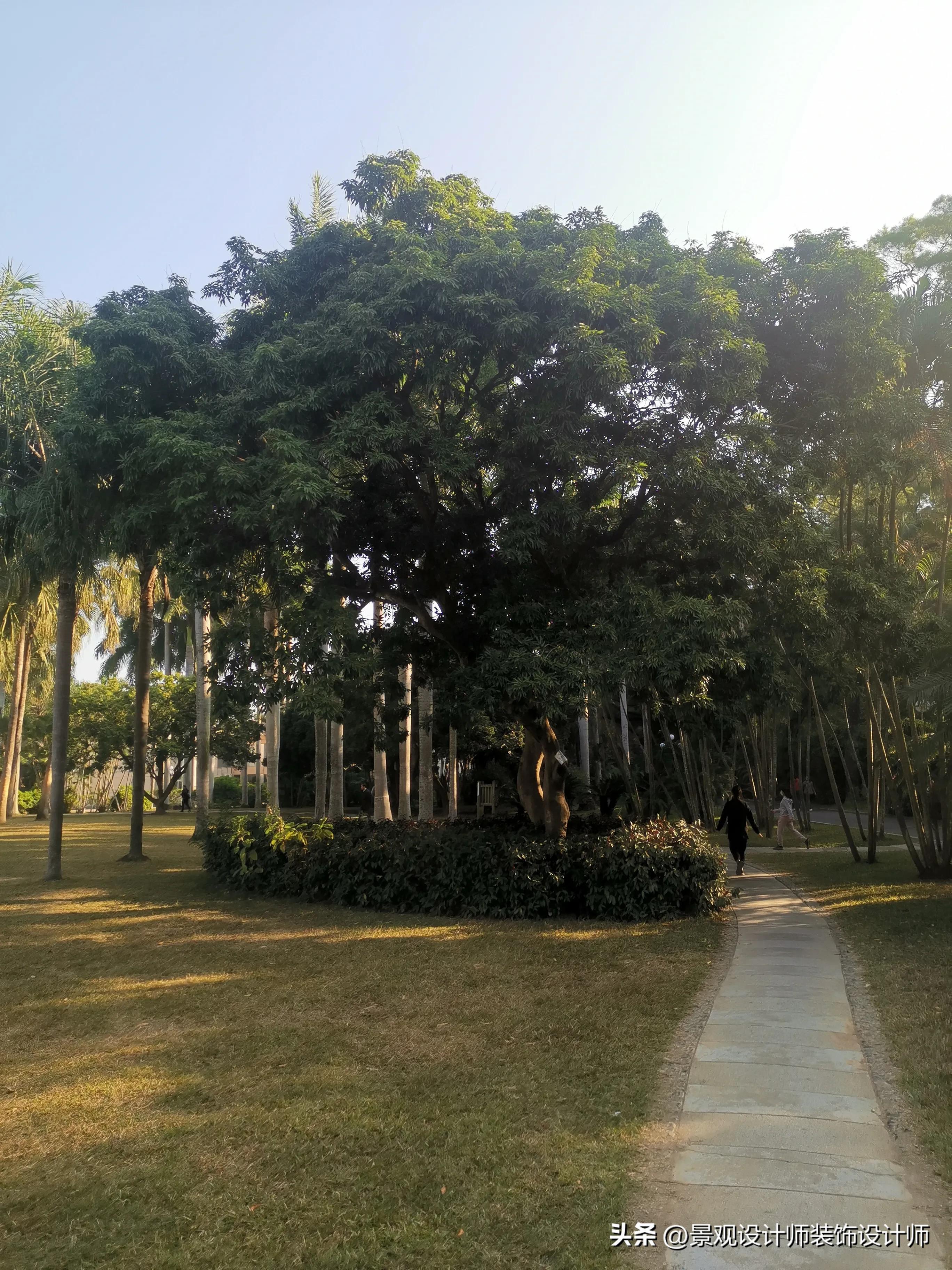 深圳市东湖公园收费标准,深圳市东湖公园宾馆