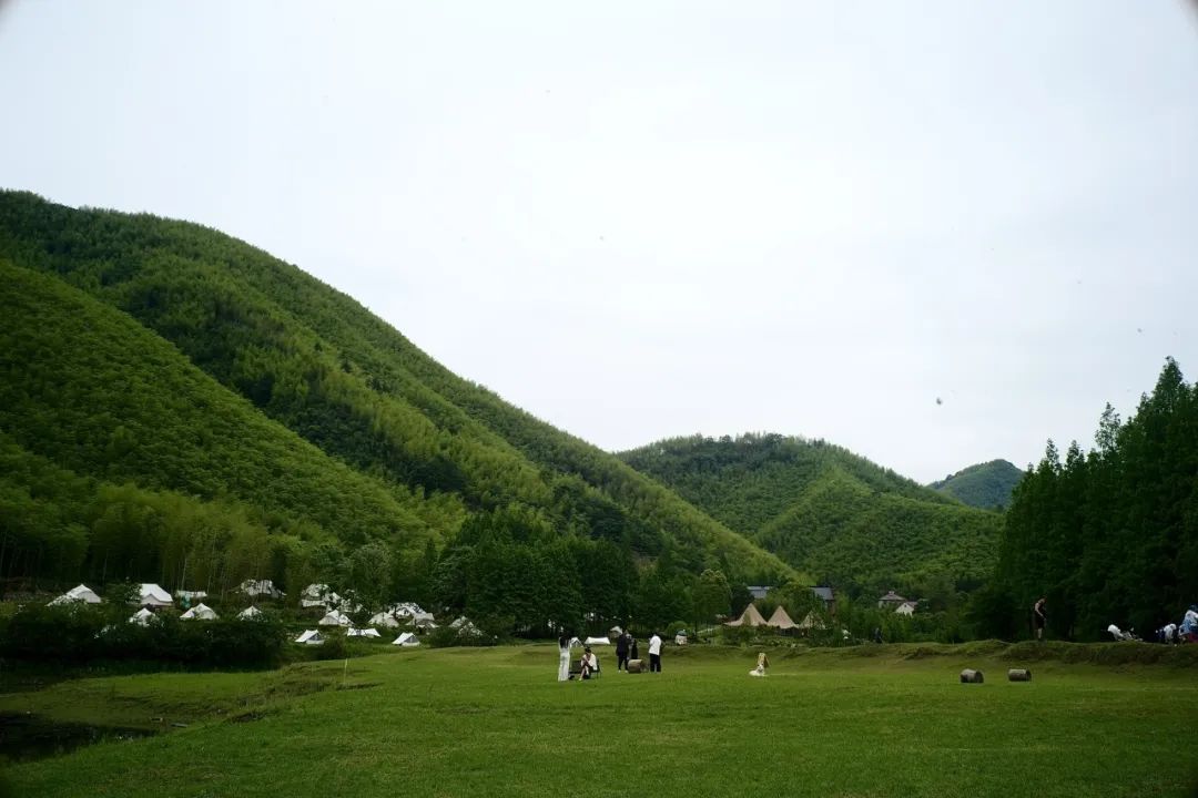 浙江市区度假酒店推荐,浙江轻奢酒店值得推荐