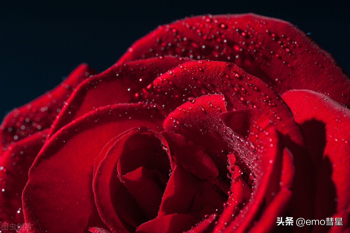 为什么有的女生很容易被大叔喜欢,小女生为什么喜欢大叔型的