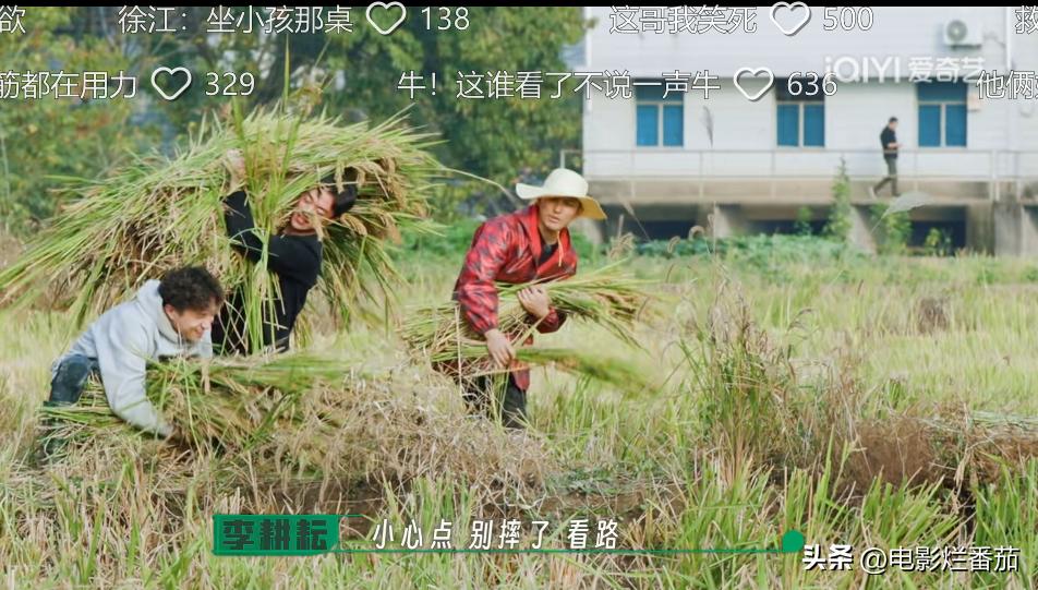从豆瓣8.4到9.0分，这群认真种地的少年们，值得被所有人看见