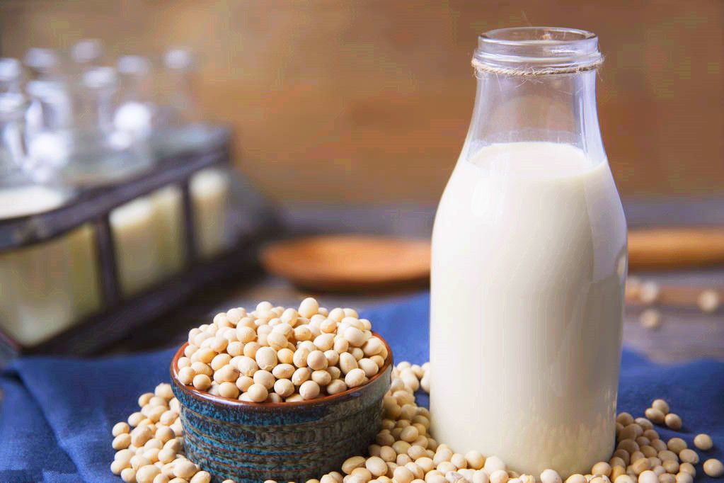 豆奶推荐大瓶,豆奶推荐