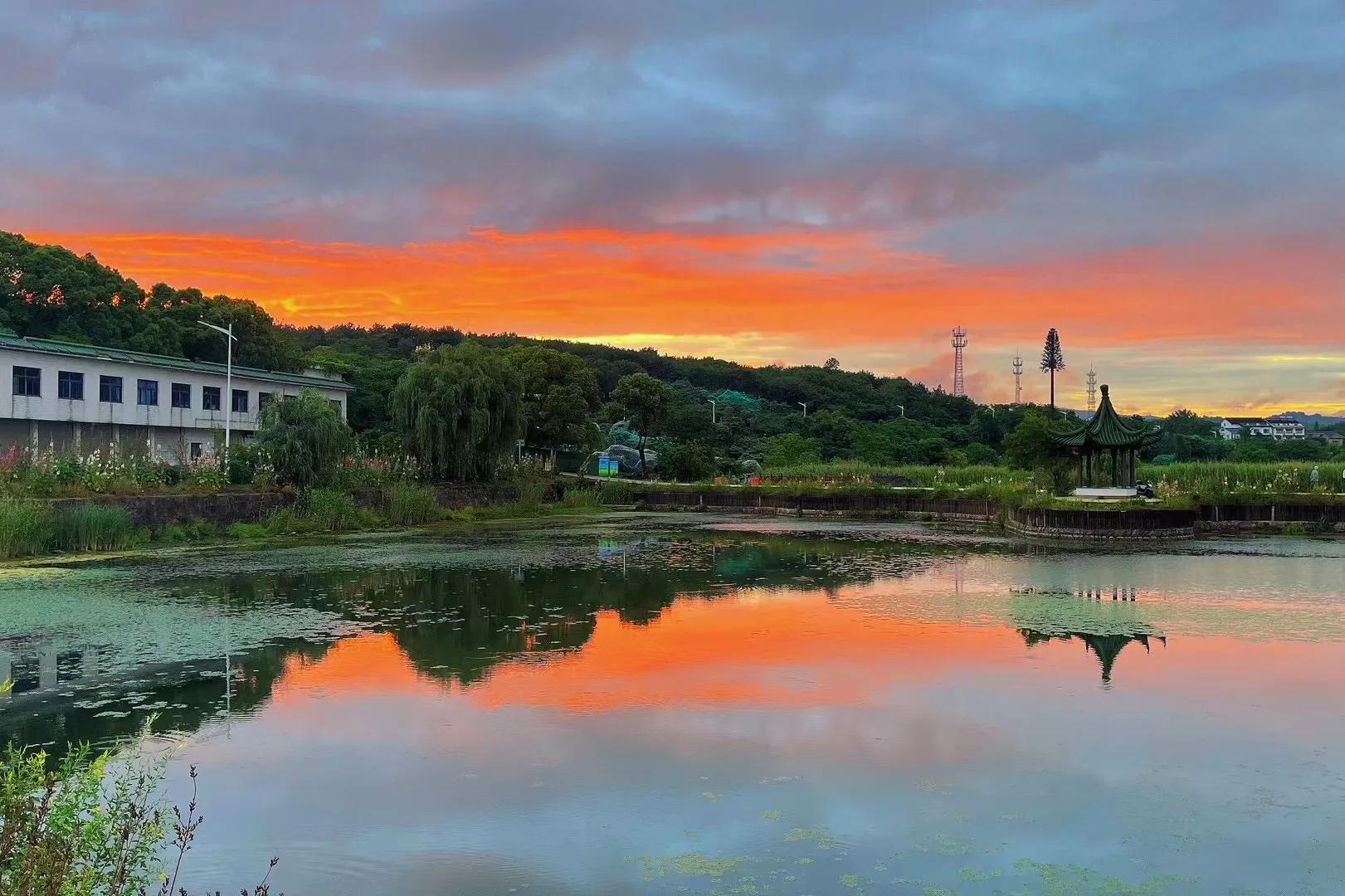苏州西山明月湾包吃住民宿,苏州西山民宿包吃包住80一天