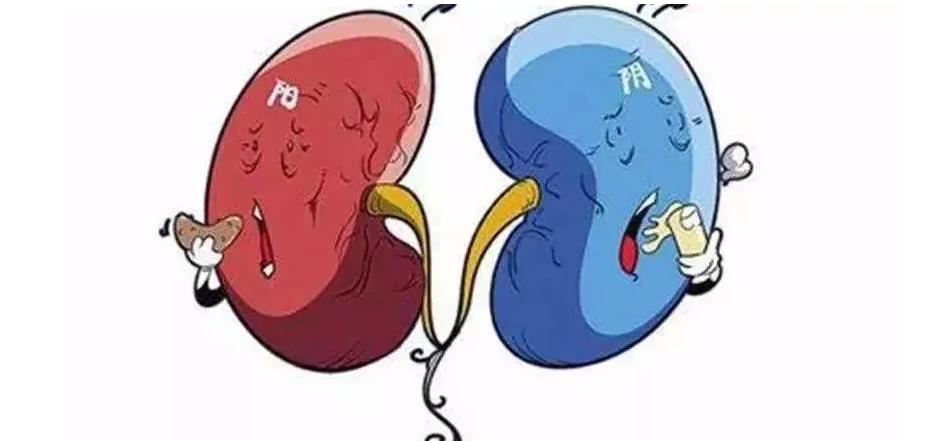 阴虚火旺手冰凉,阴虚手脚冰凉