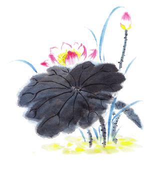 药物性肝损伤的三大常见症状,药物性肝损伤的三大症状