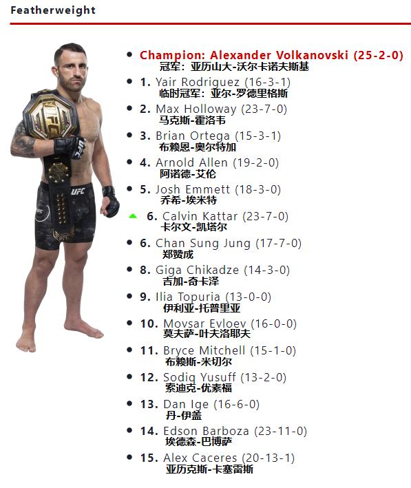 ufc最新量级排名2024,ufc最新各量级排名2024