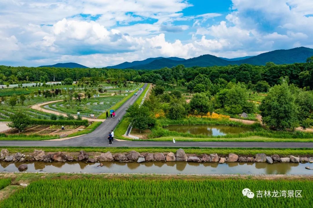 长春高新第二实验中学培育的人才,长春高新第一实验学校研学