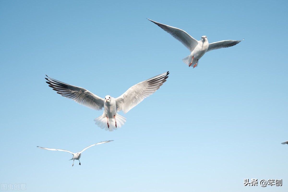 全面放开“大势所趋”，消除恐慌更是势在必行