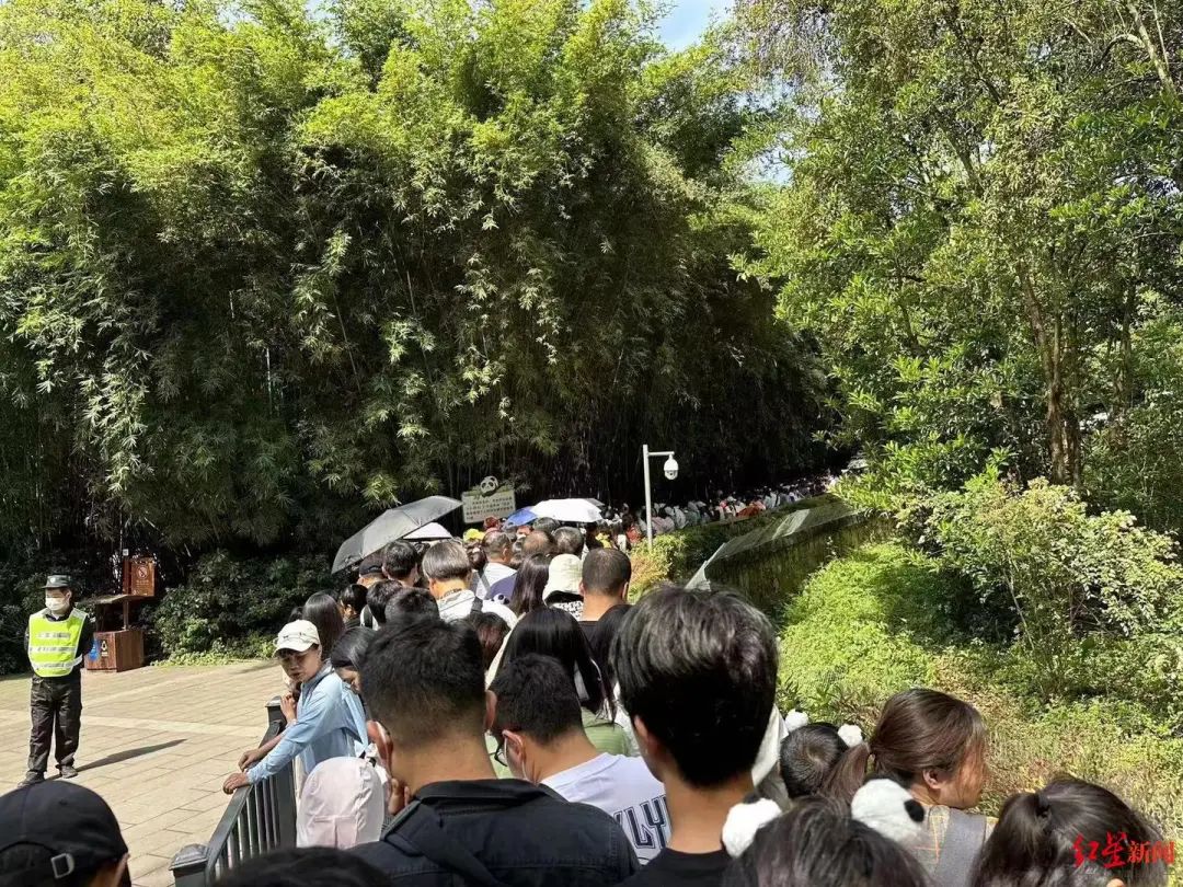 大美成都全景图,大美成都抄错表18个月