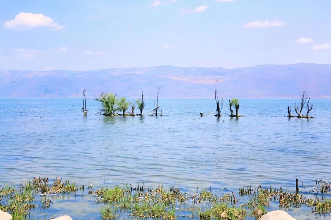 “政策+市场”同发力，自在大理等着你