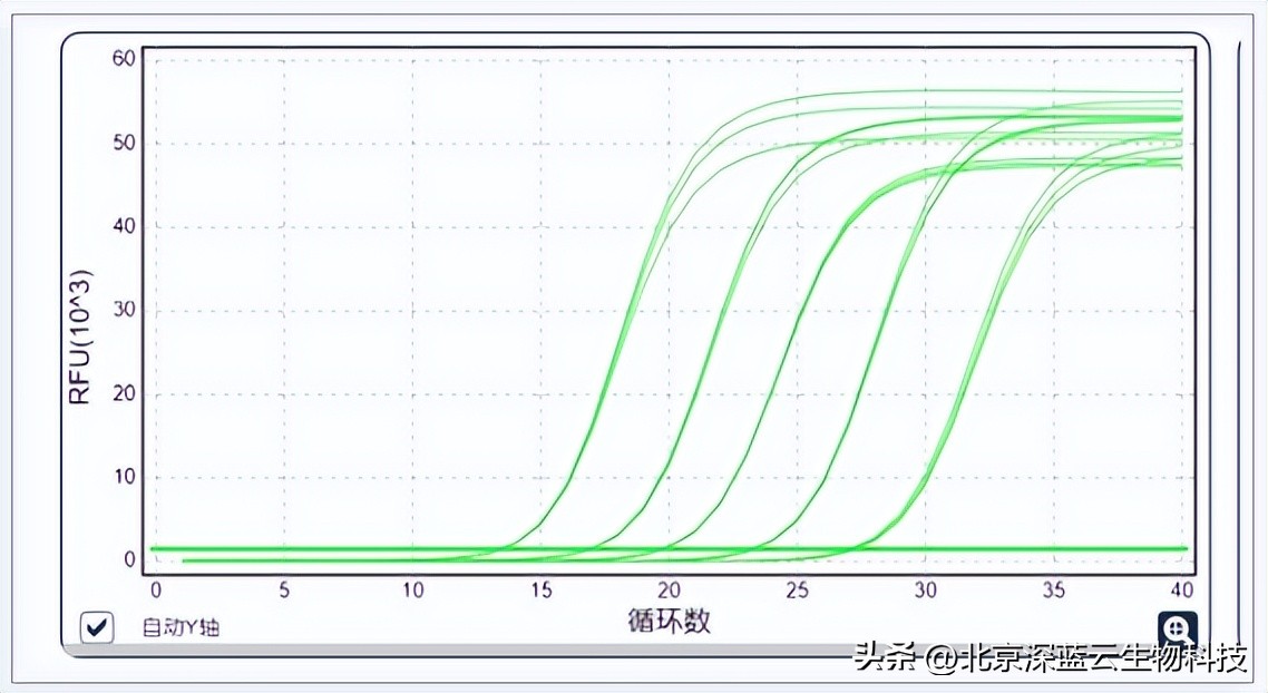 qpcr技术的基本原理和过程,qpcr的双线分析