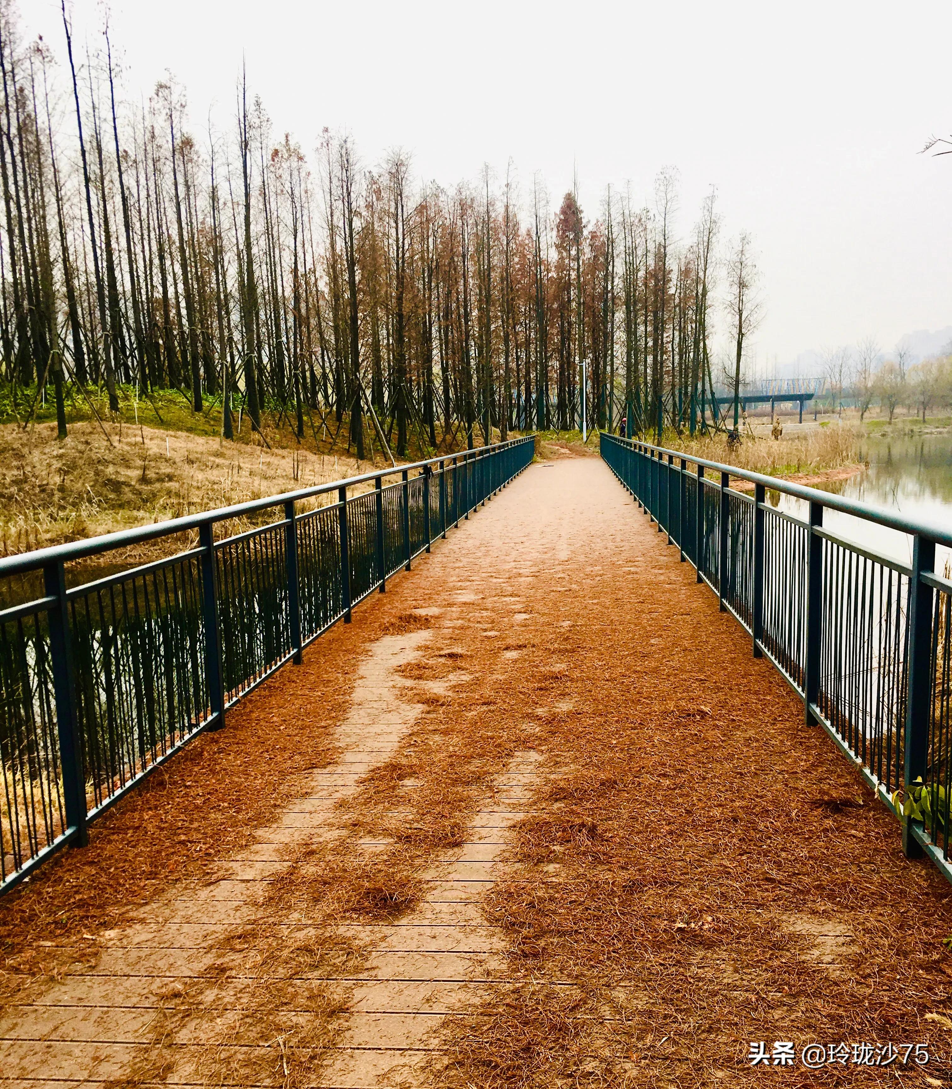 长沙风景美丽的篮球场,长沙王陵公园生态足球场