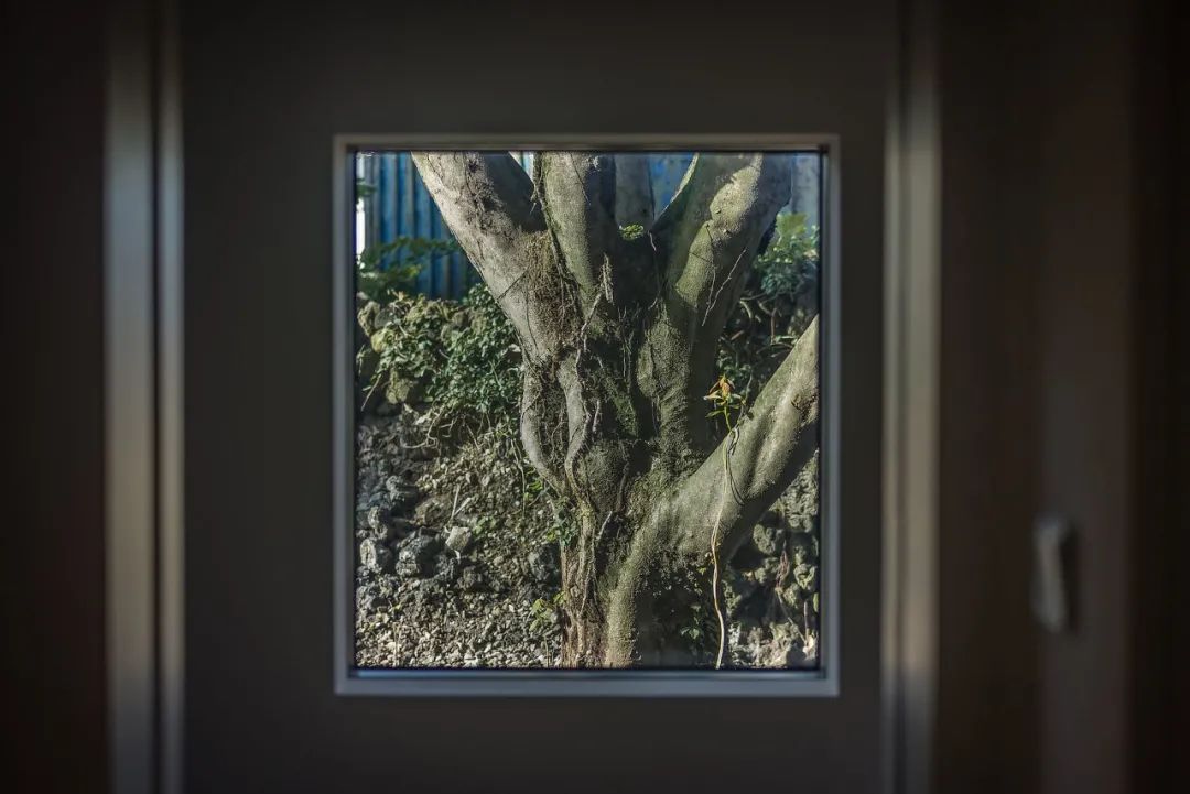 无象归园民宿,归园溪上民宿