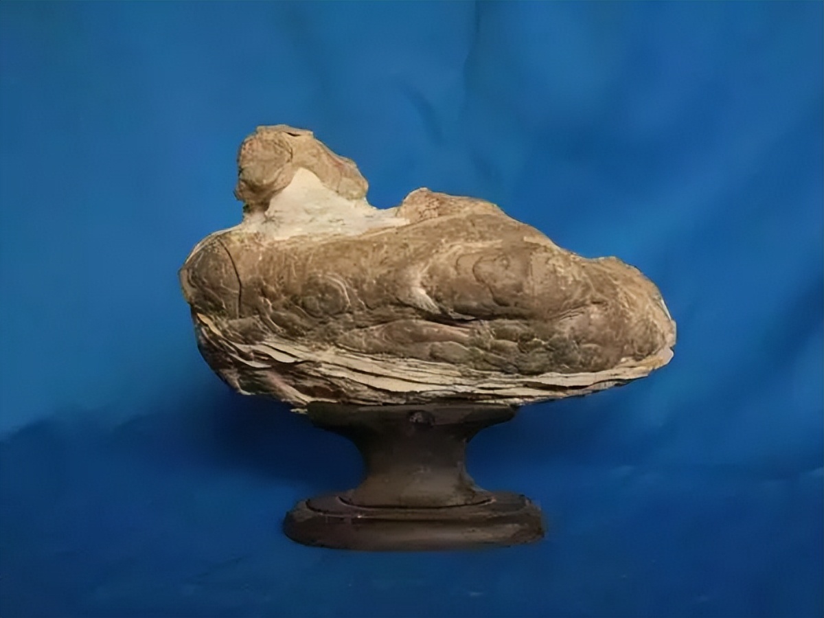 中国100种奇石图谱,中国10大奇石图片