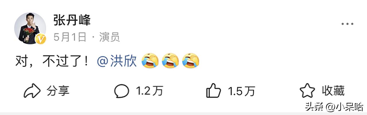 洪欣当年在娱乐圈有多红,洪欣为什么没火了