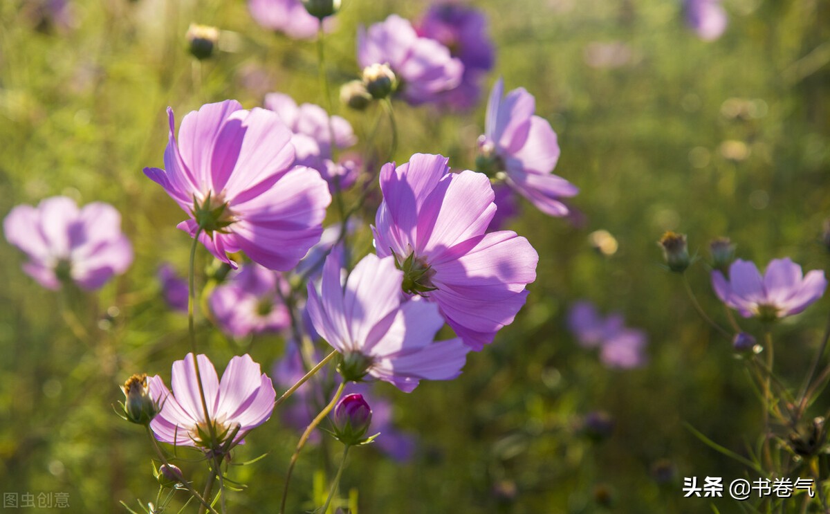 对你有好感的女生会接你语音吗,女人对你有好感会说这三个话