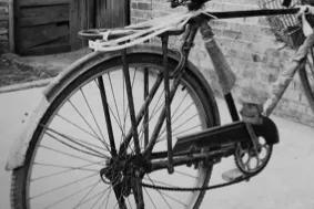 我与猎枪的情缘——（四）第一枪