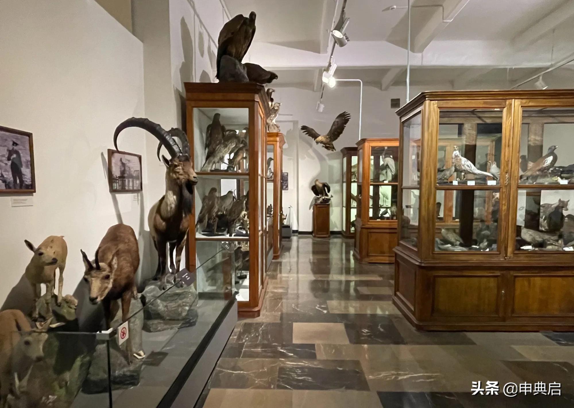 带小花园的目前看到最豪华墓地在格鲁吉亚，人均土地资源相当丰富