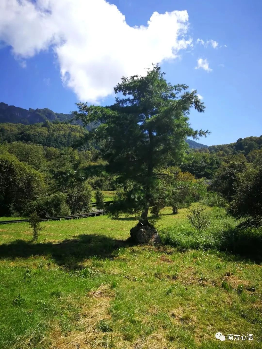 不忘初心方得始终愿岁月静好,念念不忘必有回响方得始终李叔同