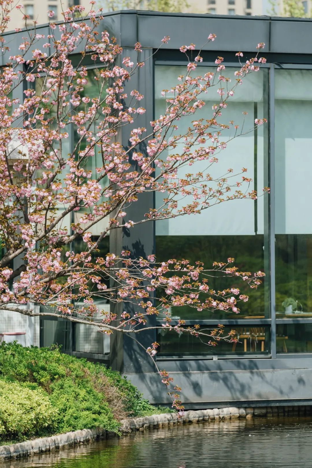 等一个自然而然的晴天一起去看海,等一个自然而然的晴天去海边