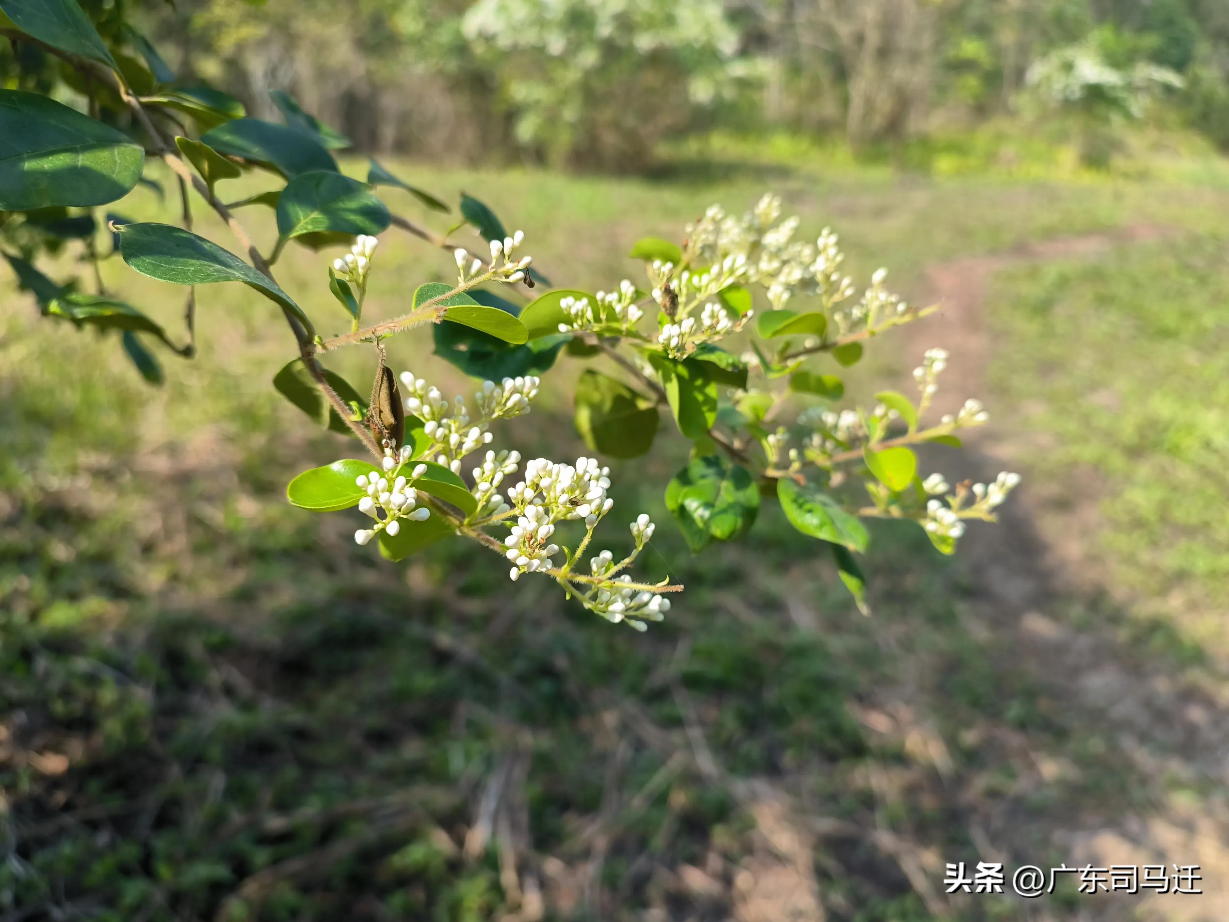 好玩的中山公园,中山公园这儿真美