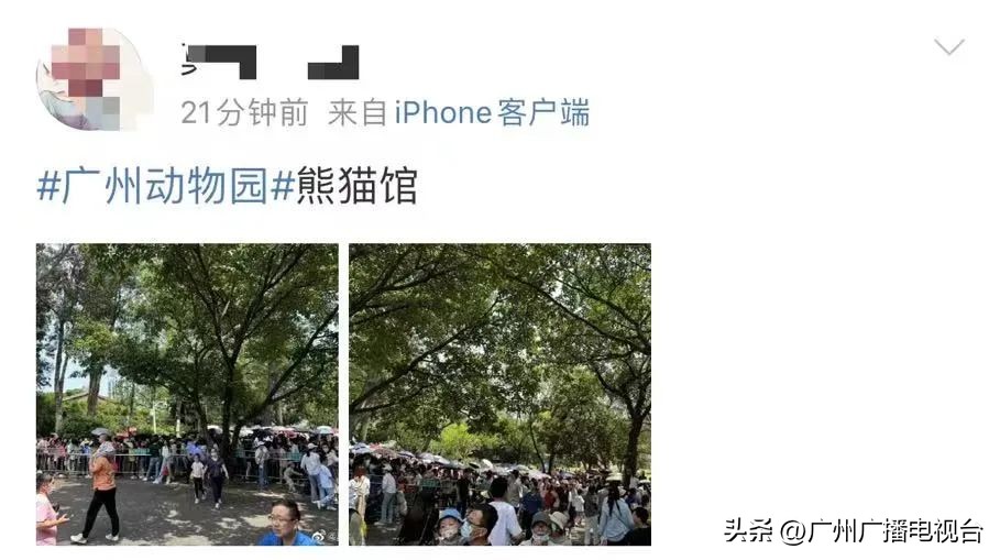 五一假期广东迎客人次,广东五一旅游人次