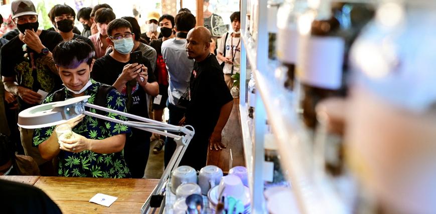 要为“娱乐*麻大**”开绿灯？泰国，看来真要成为一个“麻香之国”了