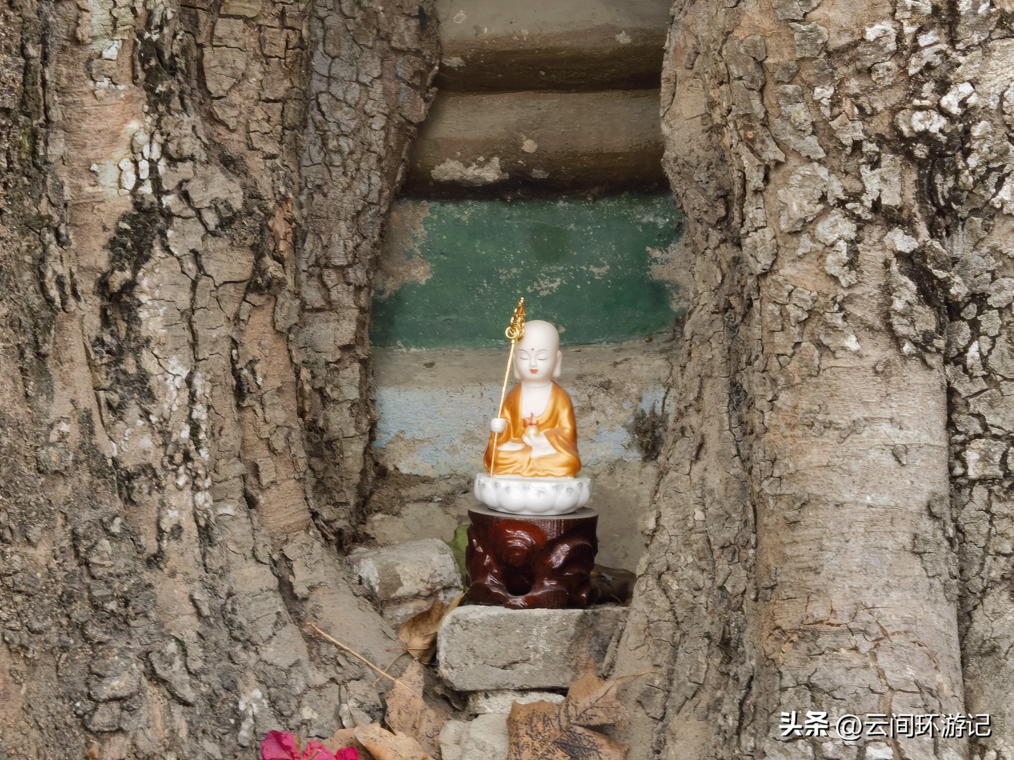 缇庝附寰峰畯娴极涔嬫梾,婕父寰峰畯