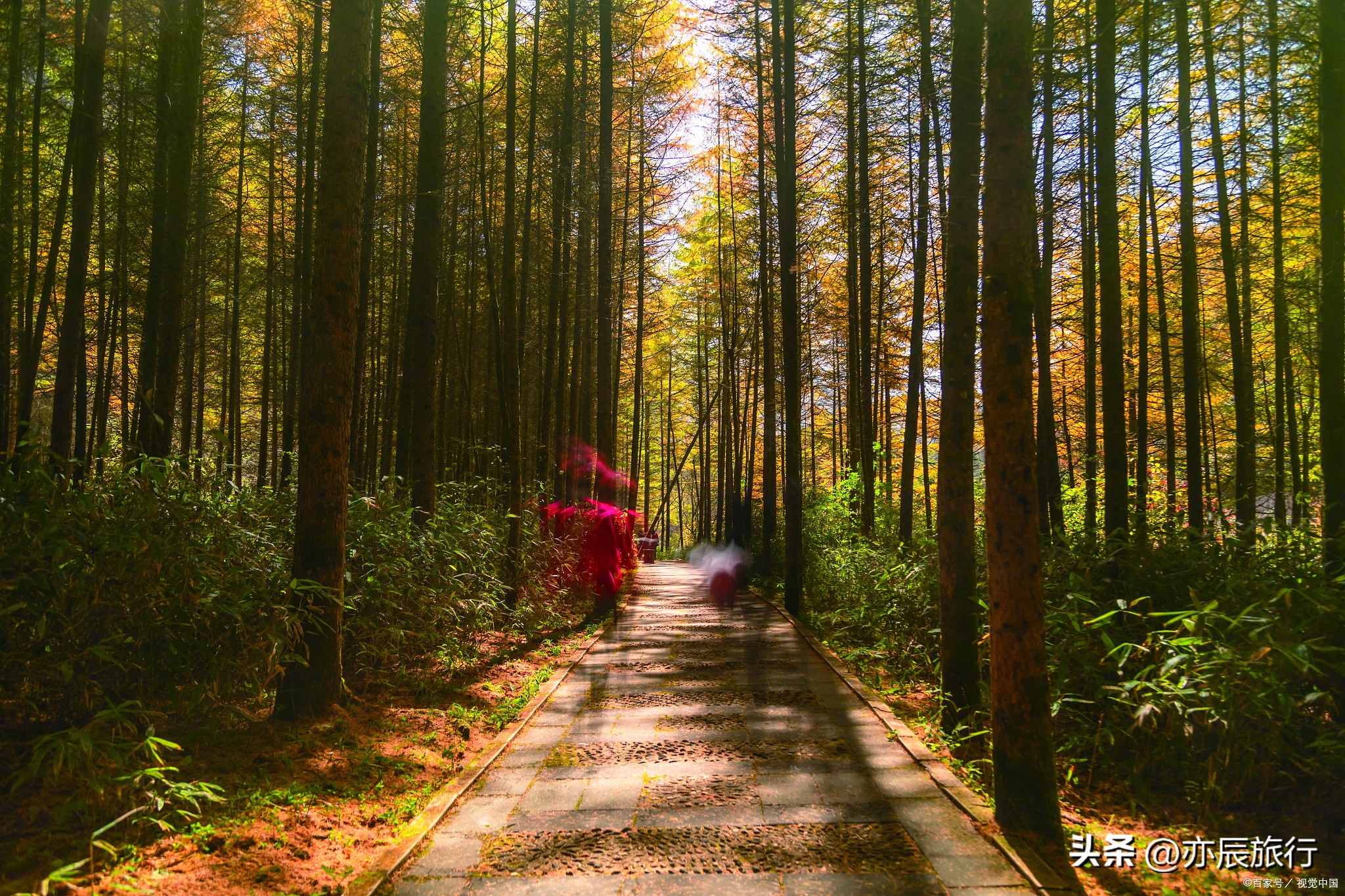 国庆南昌周边一日游景点推荐,南昌国庆假期一日游最佳景点