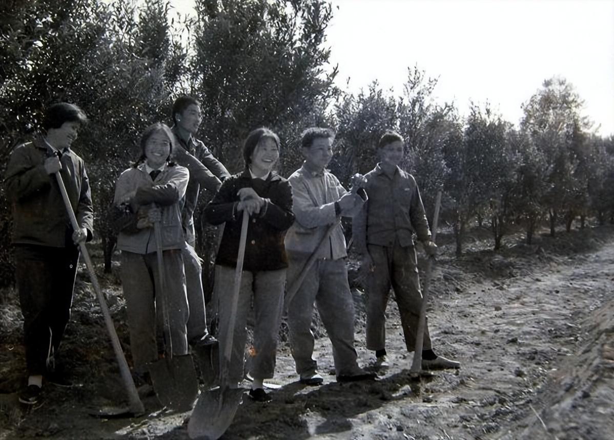 在日本打黑工十五年现状,中国父亲在日本打黑工15年纪录片