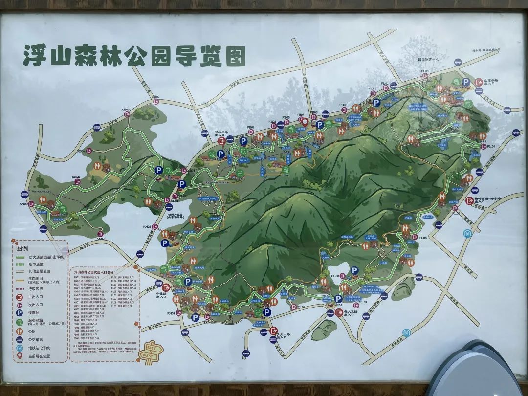 青岛浮山森林公园好玩吗,青岛浮山森林公园开放时间