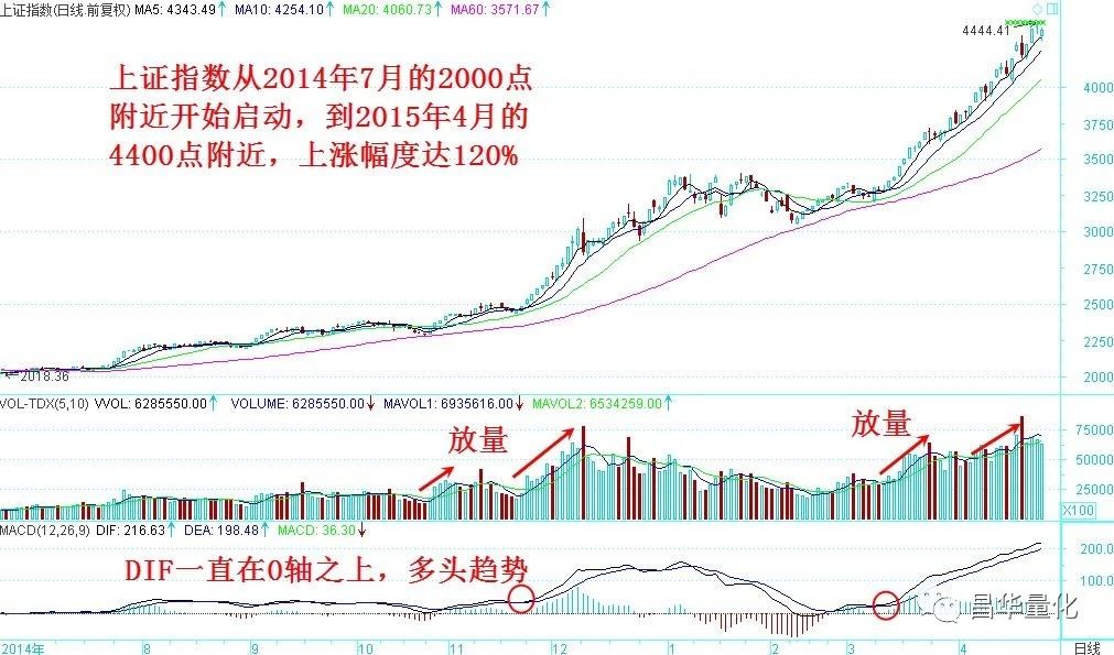 股市主力如何操作才能赚钱,近期强势板块龙头股