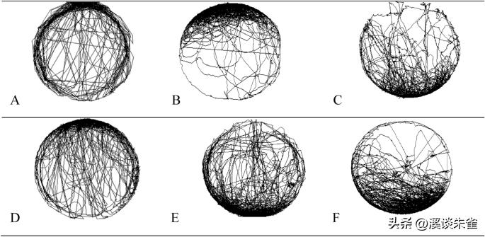苏云金杆菌杀虫剂对蜜蜂有害吗,苏云金芽孢杆菌生物杀虫剂