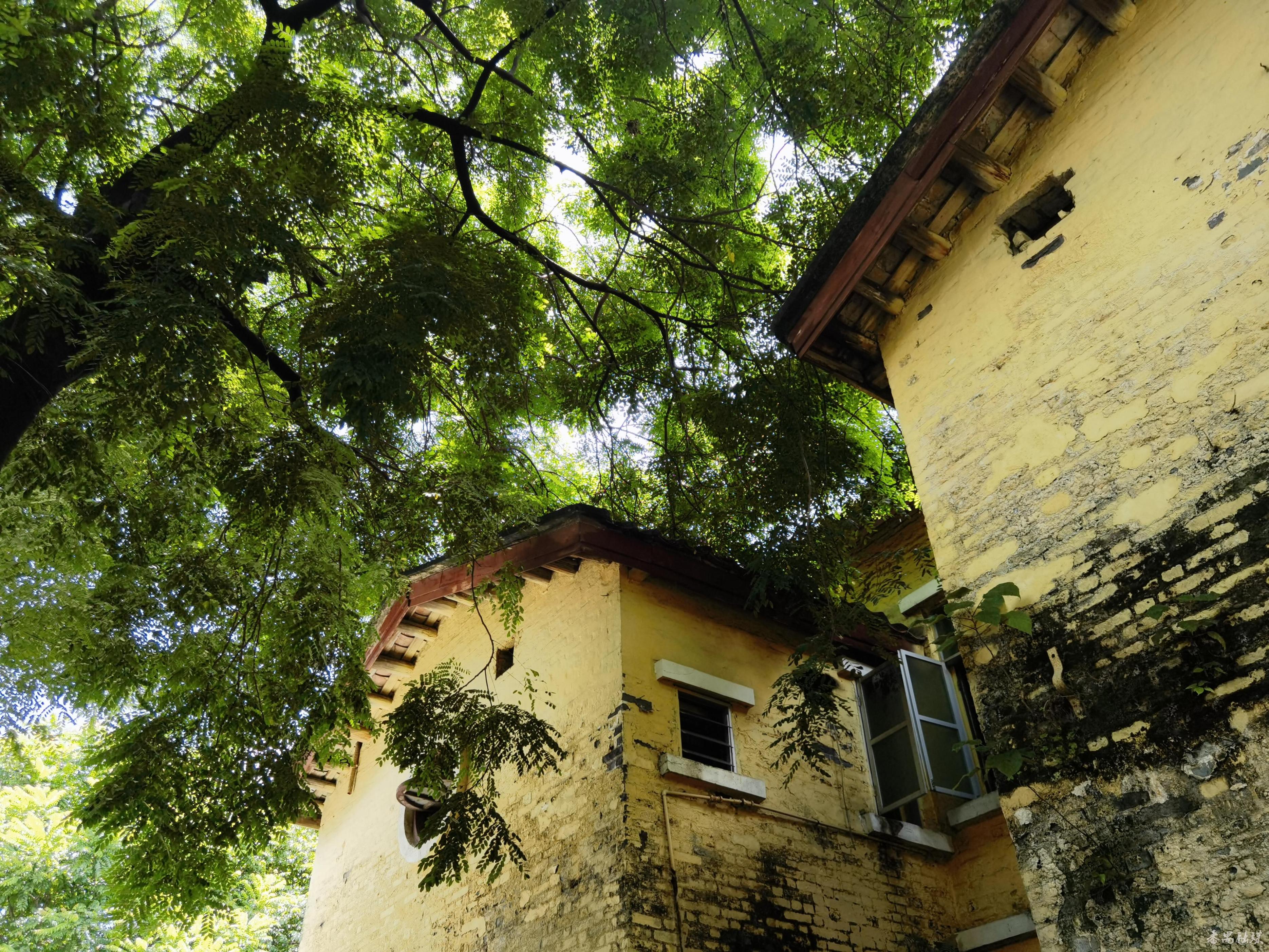 广东番禺老糖厂,番禺老糖厂