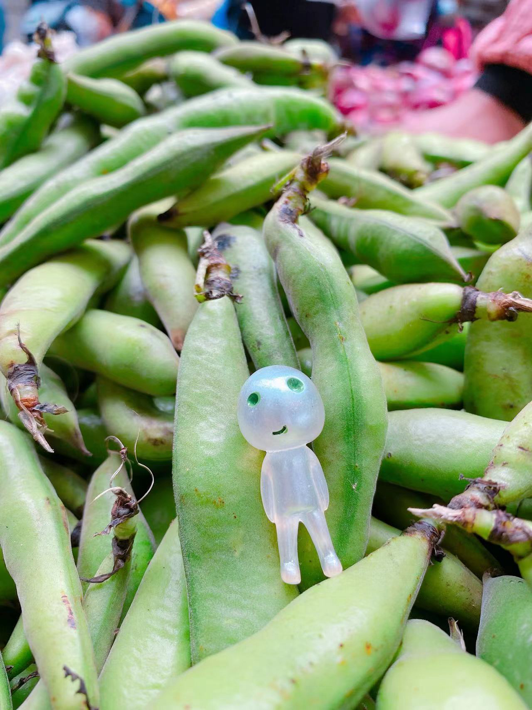 五一小长假最后一天，逛广元最大的超市，看看蔬菜区都有什么吗？