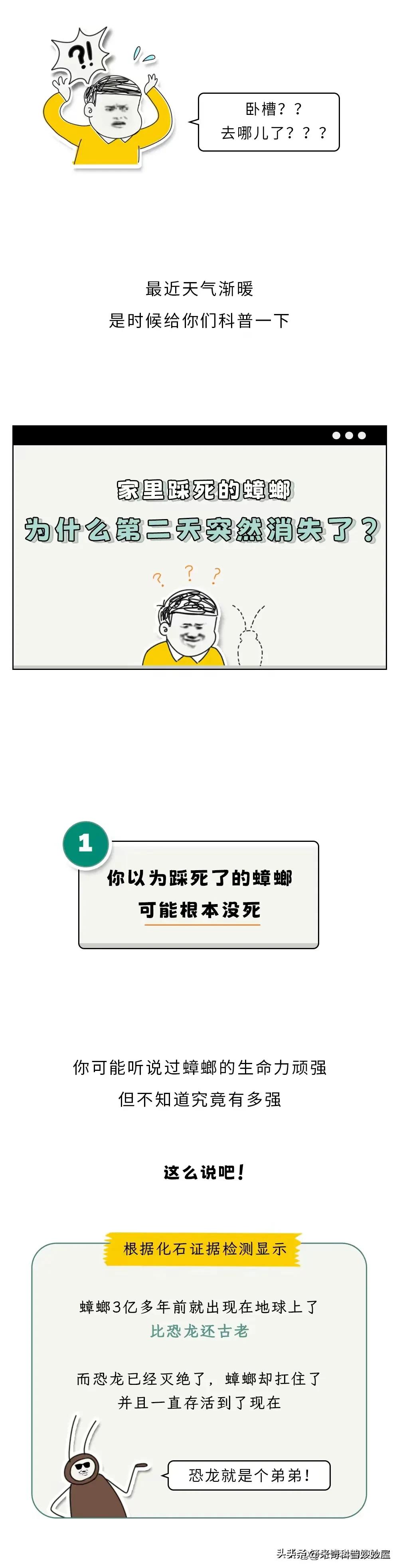 奇怪的冷知识甲虫,奇怪的冷知识火体虫